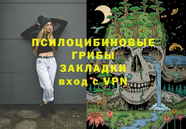 PSILOCYBIN Переславль-Залесский