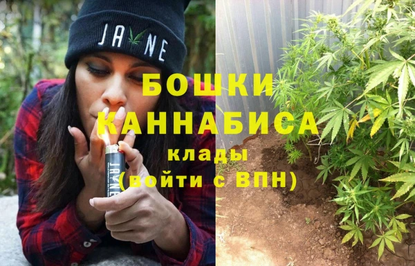 ПСИЛОЦИБИНОВЫЕ ГРИБЫ Пестово