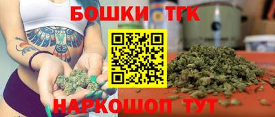 стаф Обь