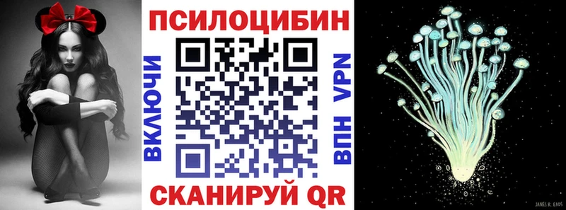 МЕГА ТОР  Менделеевск  Псилоцибиновые грибы прущие грибы  продажа наркотиков 