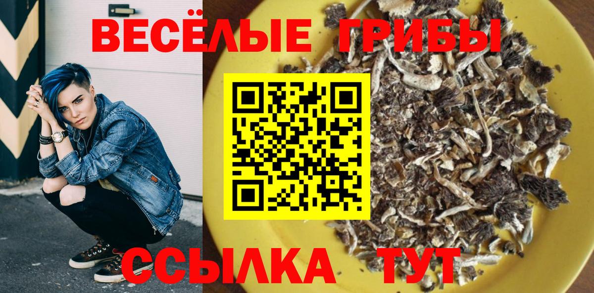 купить наркотик  Галлюциногенные грибы прущие грибы  Вход с VPN  Менделеевск 